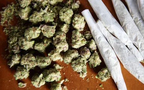 Julgamento histórico: STF diz que usar maconha não é crime.